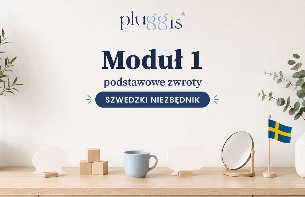 1 moduł Szwedzkiego Niezbędnika – Pluggis®