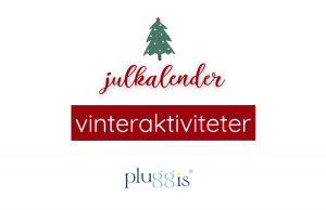 5. VINTERAKTIVITETER