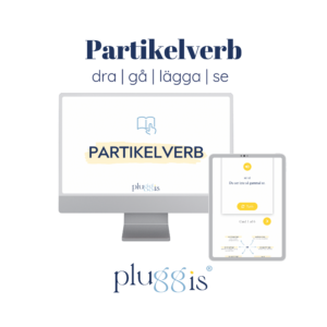 Kurs PARTIKELVERB