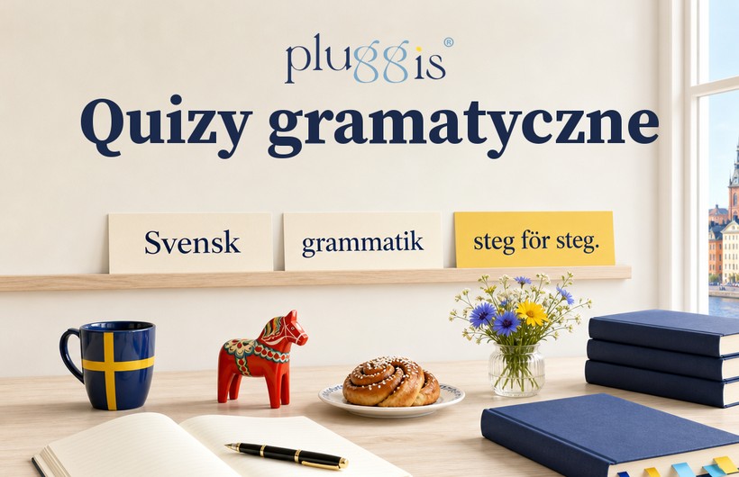 Quizy gramatyczne – Pluggis®
