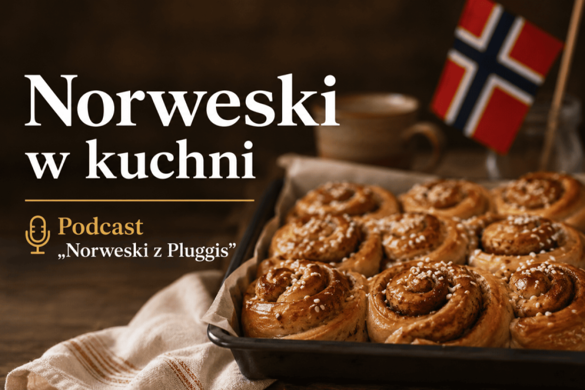 norweski-w-kuchni-pluggis
