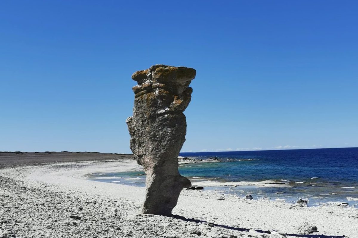 raukar-gotland pluggis