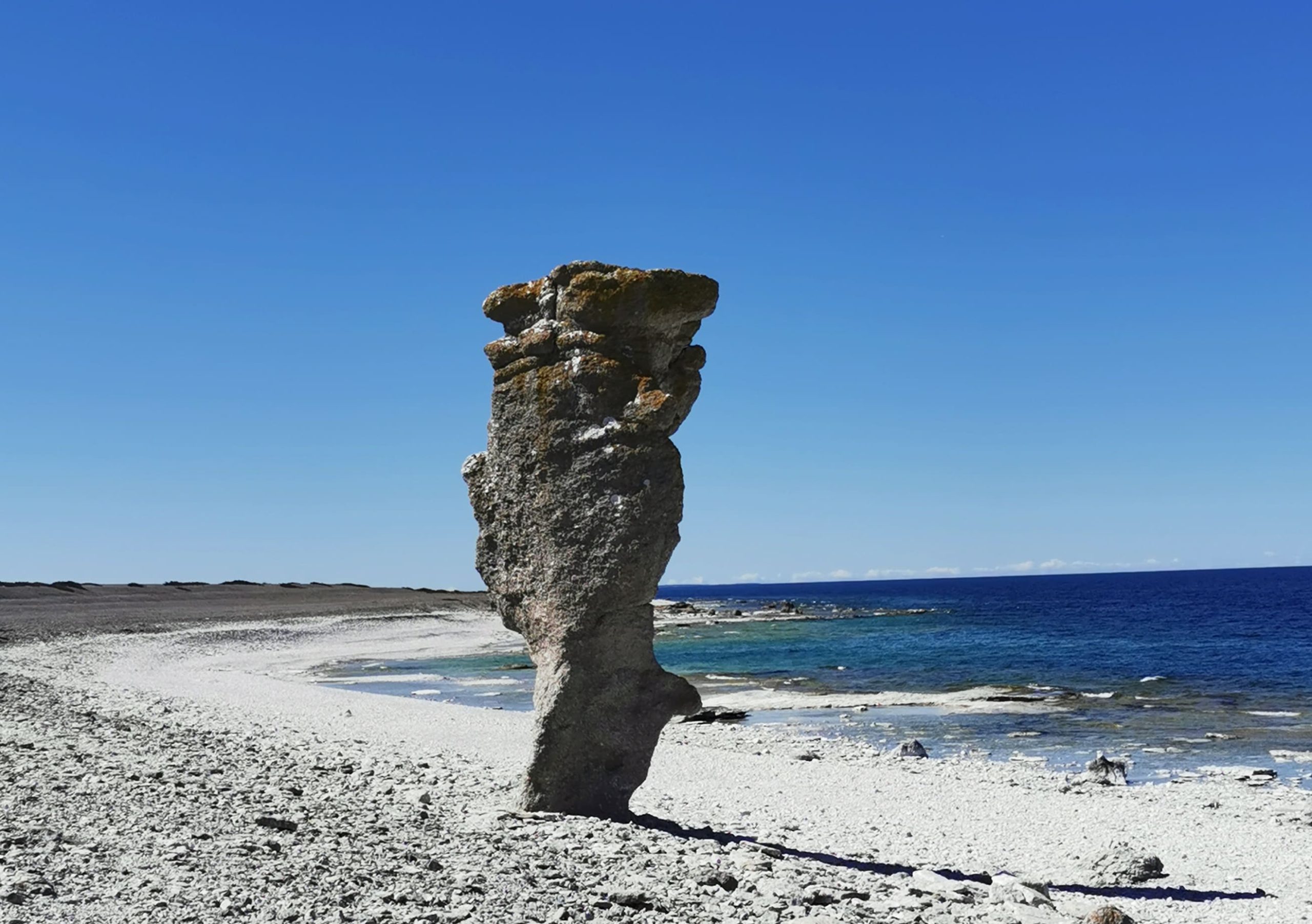 raukar-gotland pluggis raukar-gotland pluggis