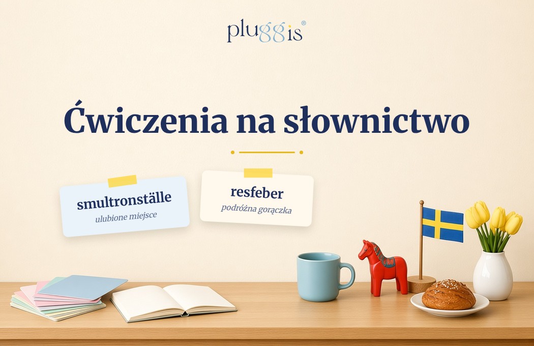 Dodatkowe ćwiczenia na słownictwo – Pluggis®